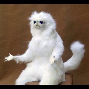 Meet your Posher, Nana